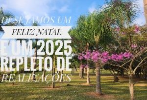 CJE deseja um FELIZ NATAL e um 2025 repleto de realizações